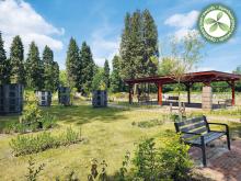 2e laureaat | Mol | Begraafplaats Wezel