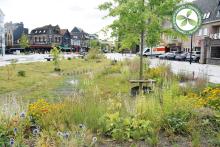 2e laureaat | Pelt | Marktplein