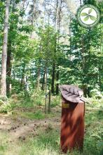 5e laureaat | Lummen | Natuurrust