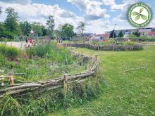 7e laureaat | Hemiksem | Wilgentunnel