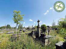 1e laureaat | Menen | Begraafplaats Zandputstraat