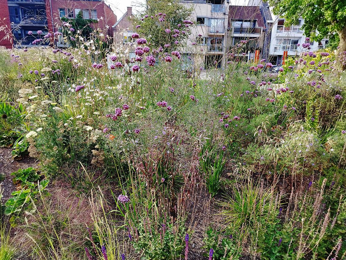 Torhout - Park de Brouckere